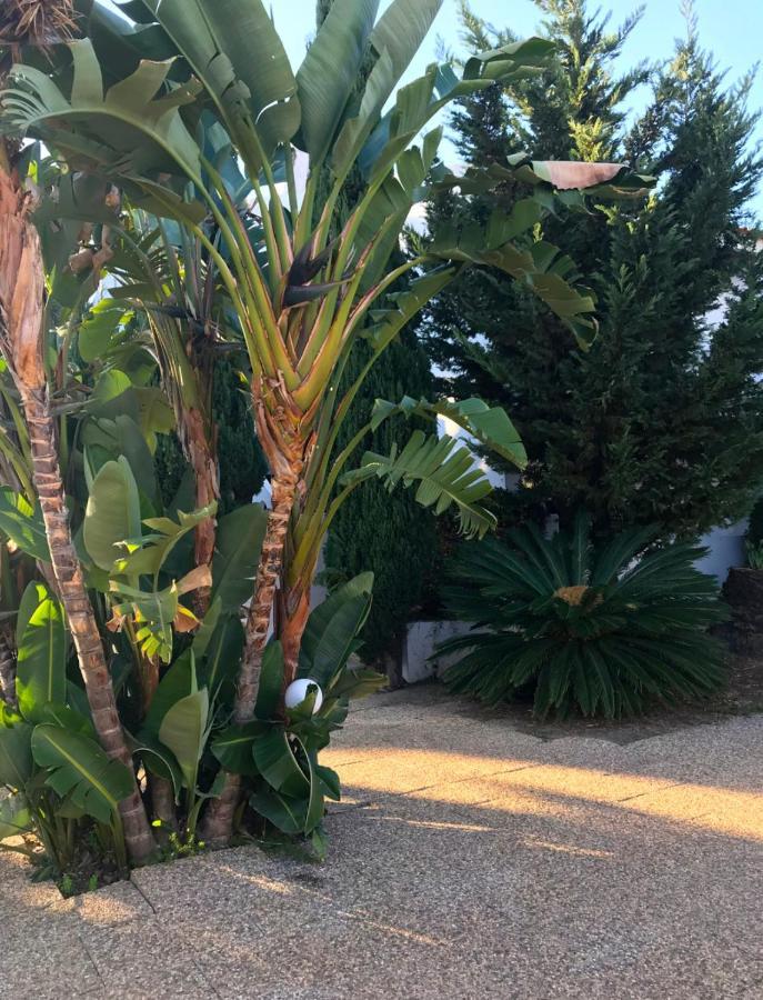 Solar De Sao Joao Aparthotel Αλμπουφέιρα Εξωτερικό φωτογραφία