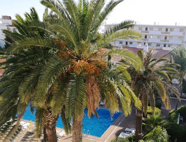 Solar De Sao Joao Aparthotel Αλμπουφέιρα Εξωτερικό φωτογραφία